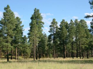 7337 Forest Service 122 Rd, Happy Jack, AZ 86024