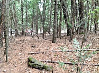 5134 Deerwood Dr, Grizzly Flats, CA 95636