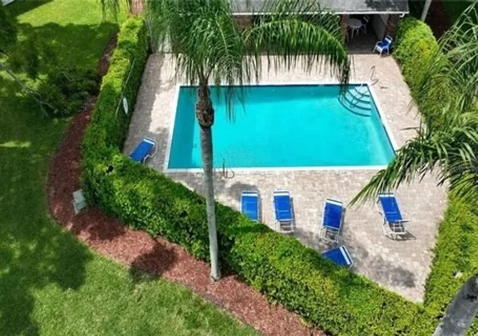Charming 2BR House in Palm Harbor — Photo 4