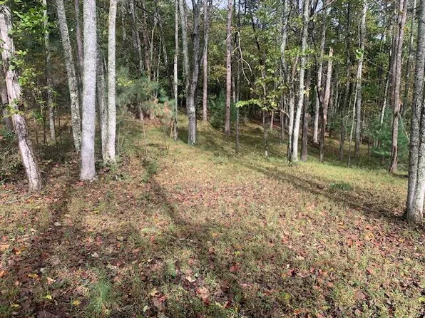 LOT 132 Fox Cv, Blairsville, GA 30512