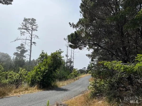 22091 Lee Drive, Timber Cove, CA 95450