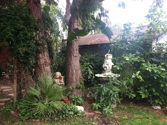 Garden and more space behind