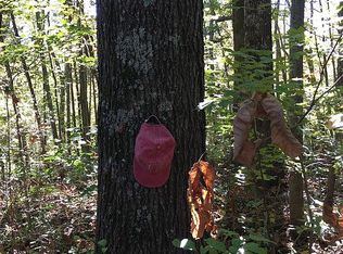 4776 Brier Ridge Rd, West Union, OH 45693