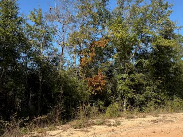 0 Southern Blvd Lot 27, Alford, FL 32420