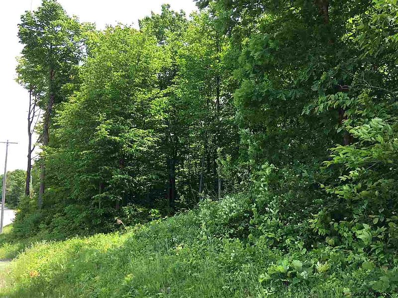 3rd image of Lot #9 REYNOLDS Road