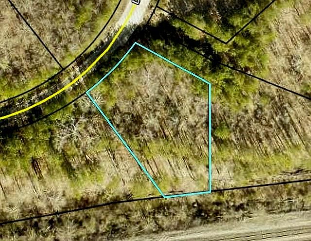 2nd image of 343 Delta Ln #7