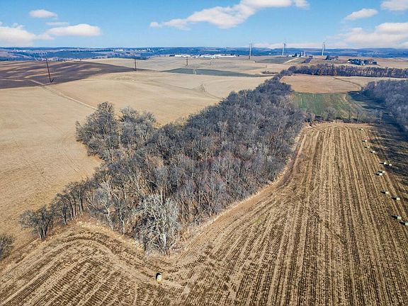 4th image of 19.85 Acres Riles Road