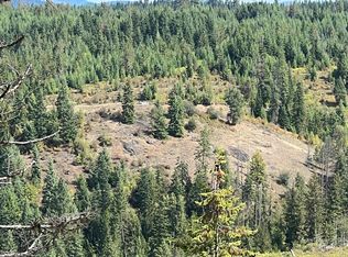 196 Lolo Point Dr, Kamiah, ID 83536