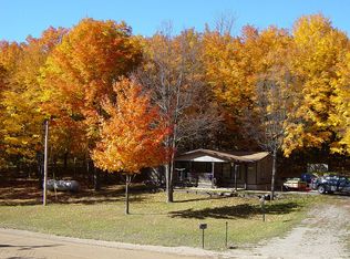9062 W Cameron Bridge Rd, Frederic, MI 49733