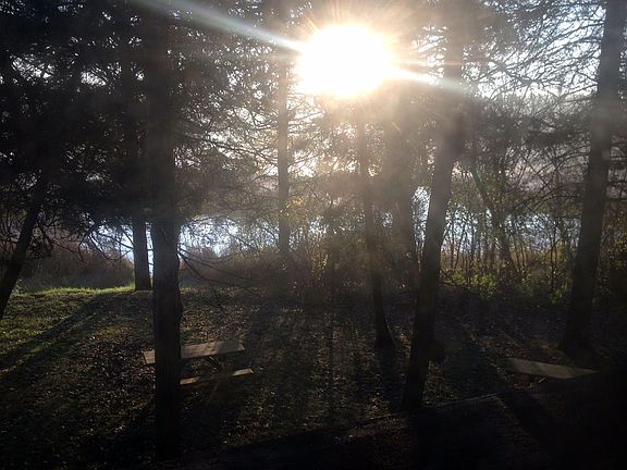 Photo looking east from one of the upstairs bedrooms. The ph