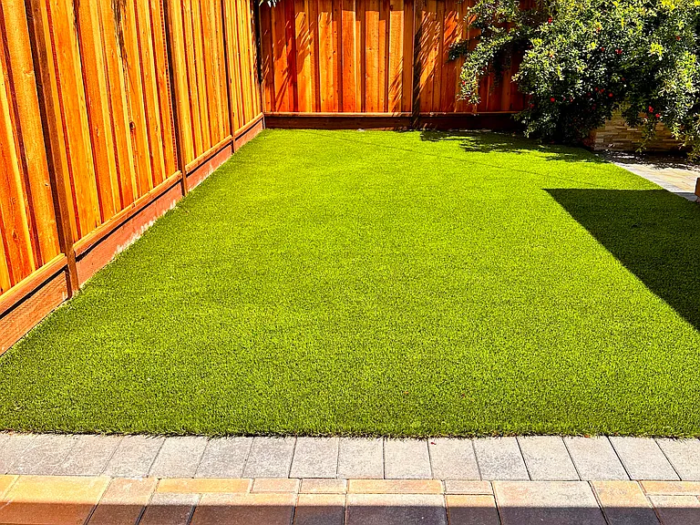Turf in the Backyard
