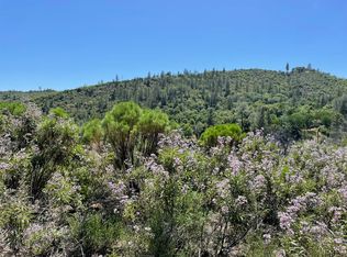 8954 Cave City Rd, Mountain Ranch, CA 95246