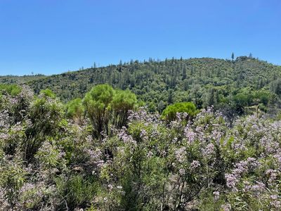 8954 Cave City Rd, Mountain Ranch, CA, 95246