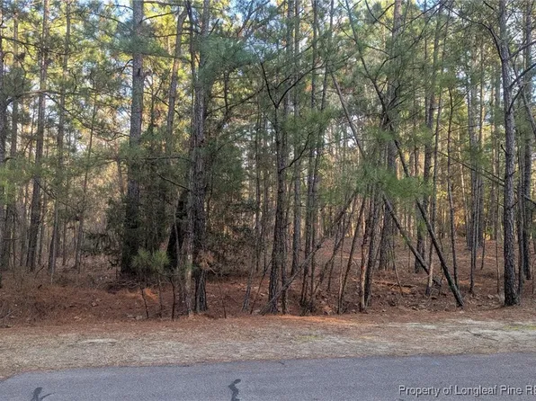 363 Chestnut Dr, Vass, NC 28394