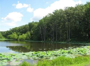 65 Erica Dr, Silex, MO 63377