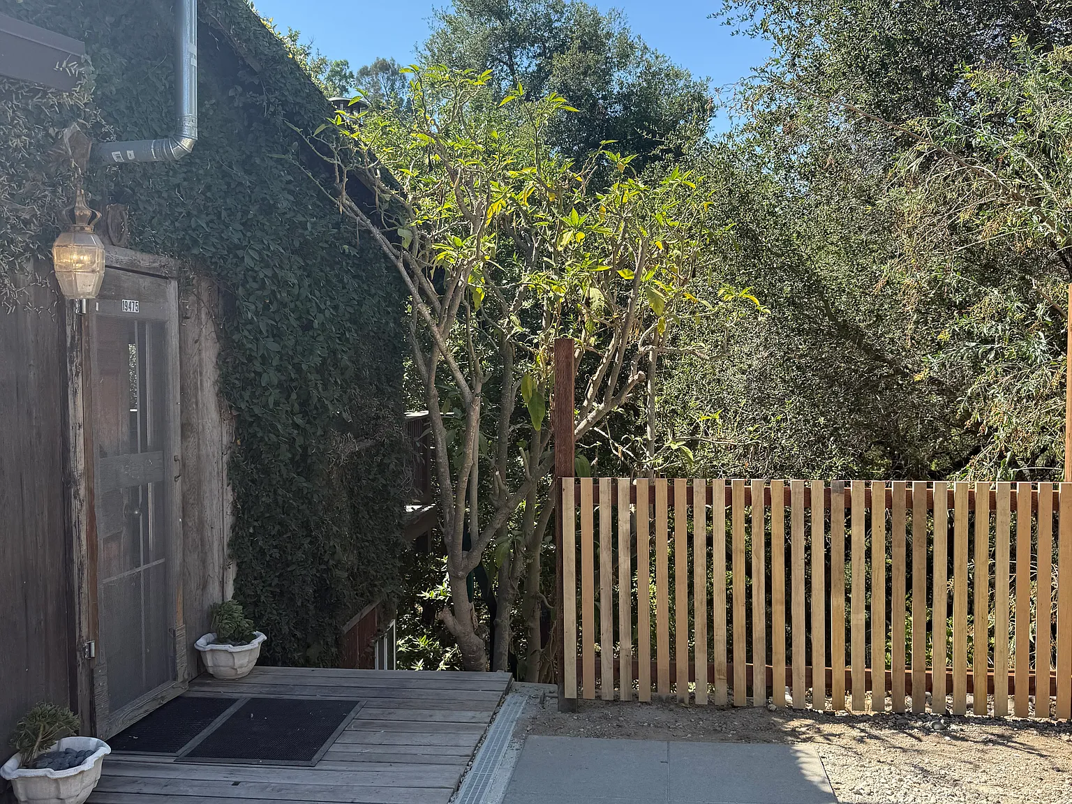 4 bed, 1800 sqft, $7,150 — Photo 3