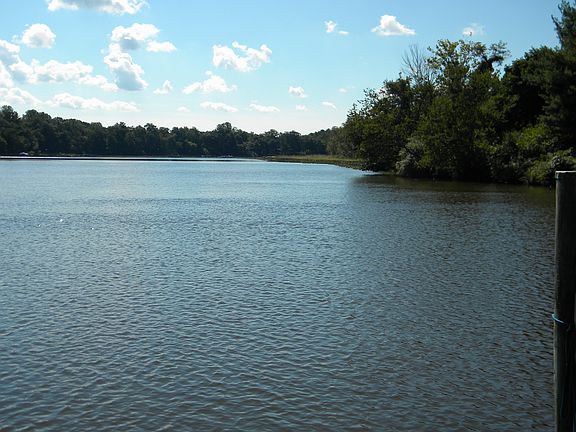 Bass Fishing Delight