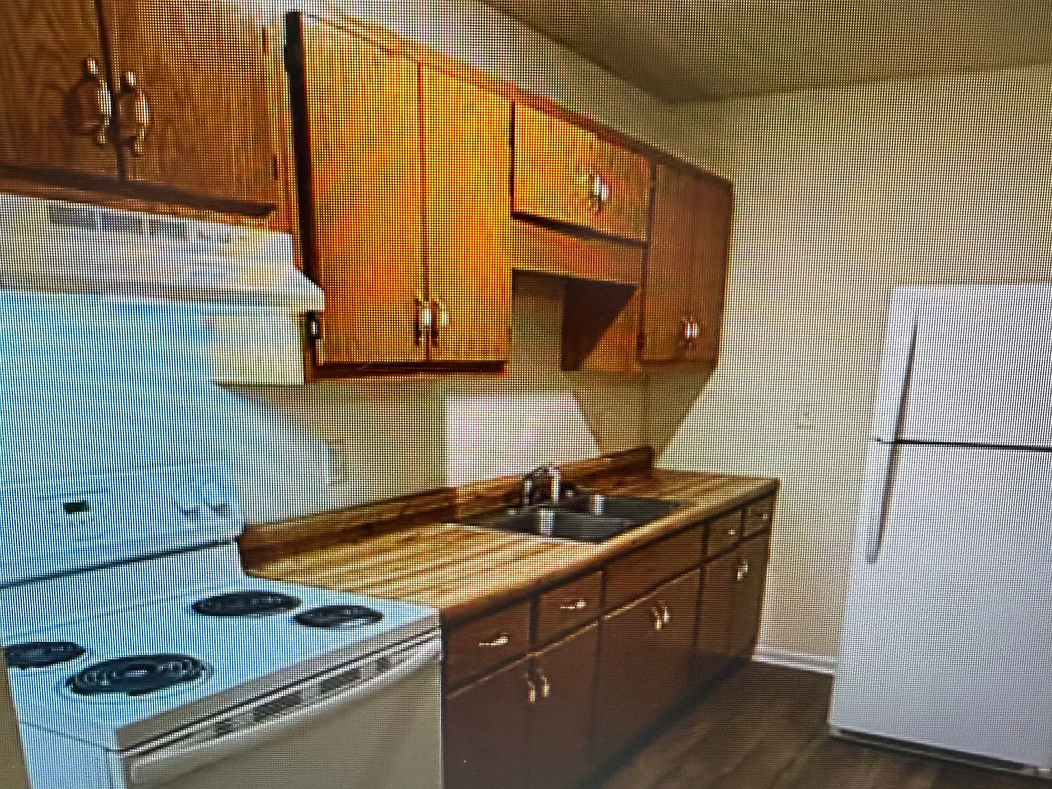 1 bed, 500 sqft, $700 — Photo 3