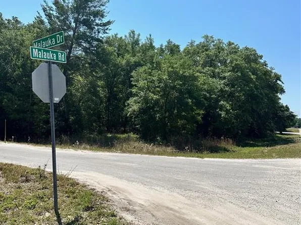Malauka Rd Lot 17, Ocklawaha, FL 32179