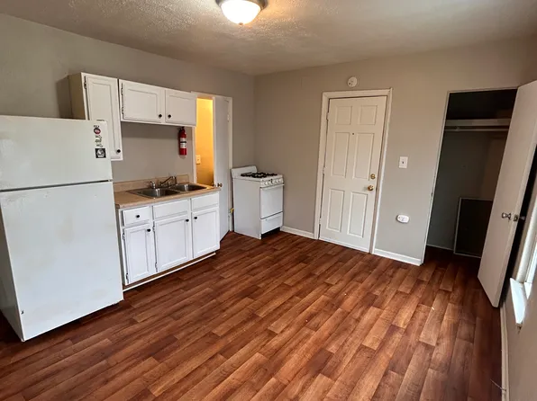 729 E Vine St #4, Kalamazoo, MI 49001