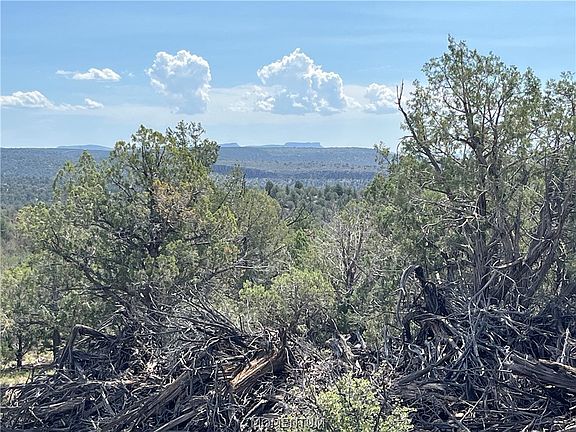 2nd image of 352-33-004 N Willows Ranch Road