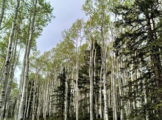260 Crest Dr, Cimarron, CO 81220