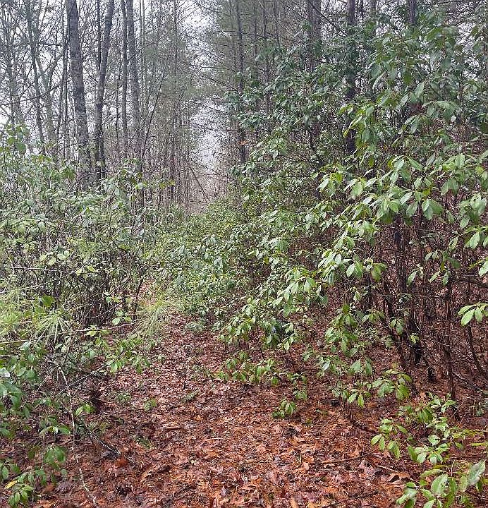 1st image of Tr76b Mary King Mountain Dr
