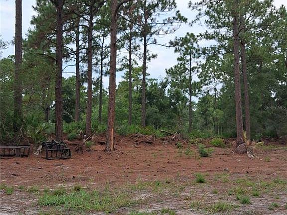 5th image of PARK FOREST BOULEVARD