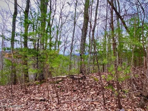 0 Oliver James Way, Sevierville, TN 37862
