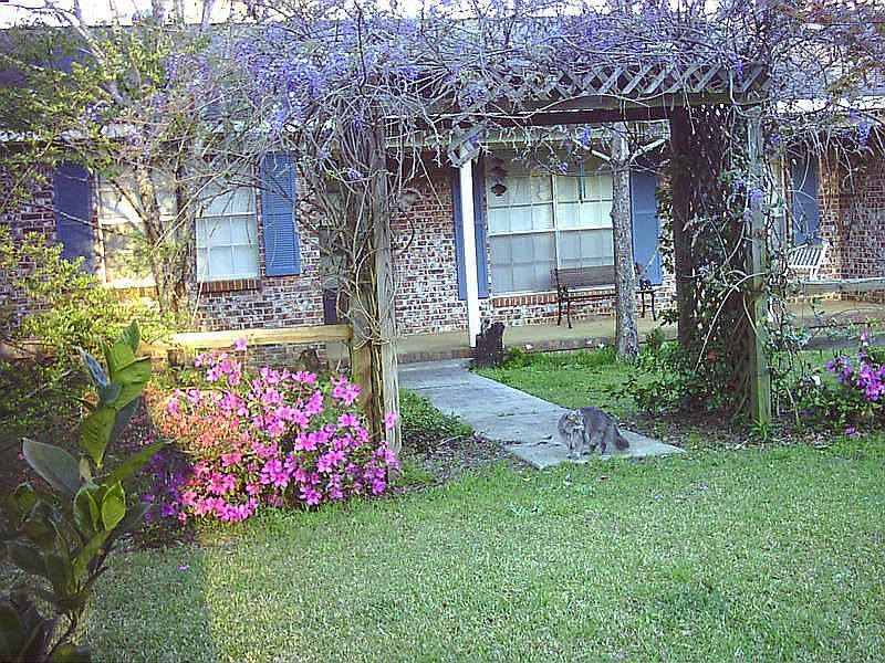 front entry