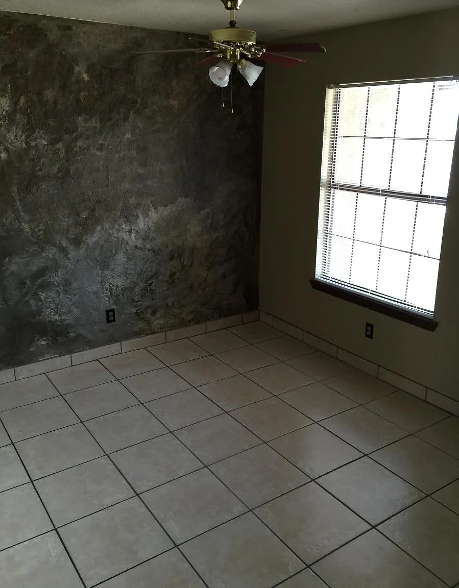 988 Graham Street — Photo 4