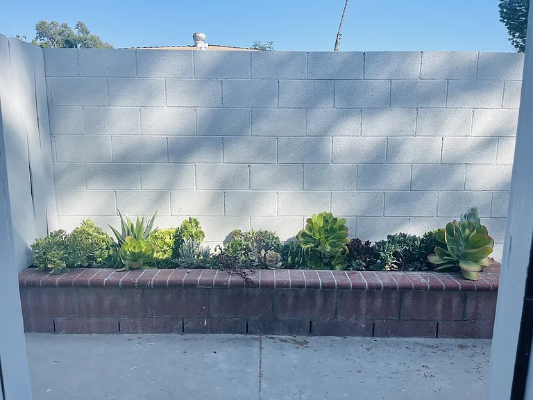 Iris Dr — Photo 8