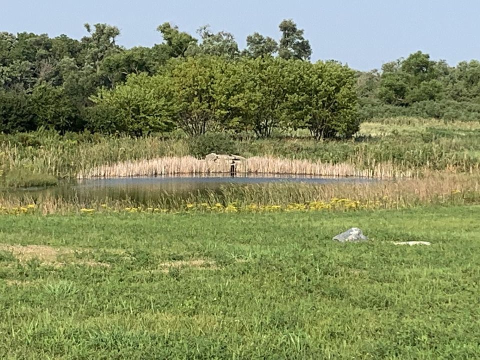 1st image of 755 Hunt Club Dr #56-02