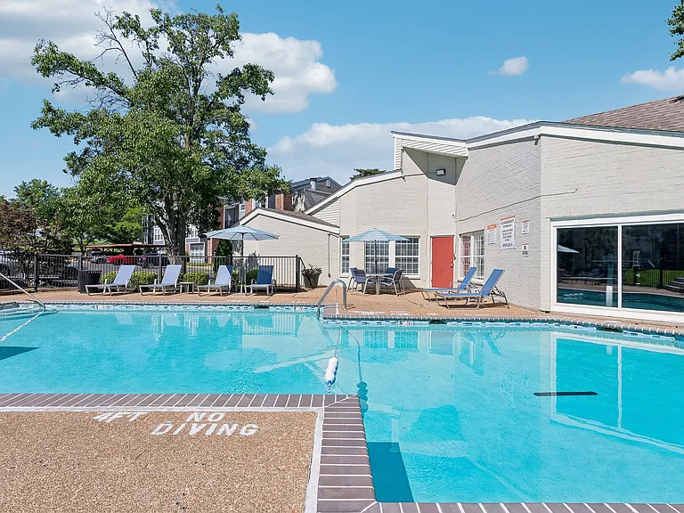 ReNew Chesterfield — Photo 42