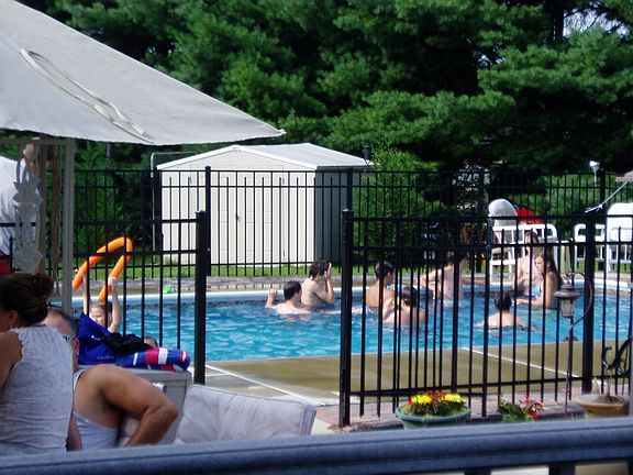 Summer in the pool