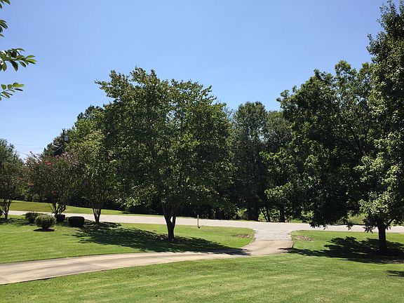 Front yard and driveway
