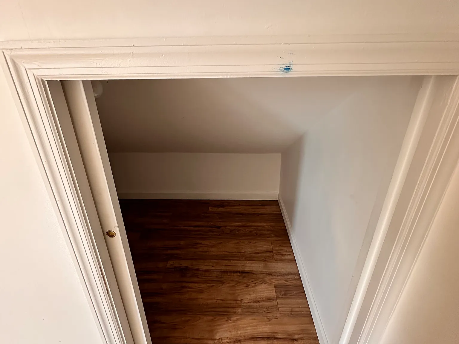 2 bed, $2,350 — Photo 4