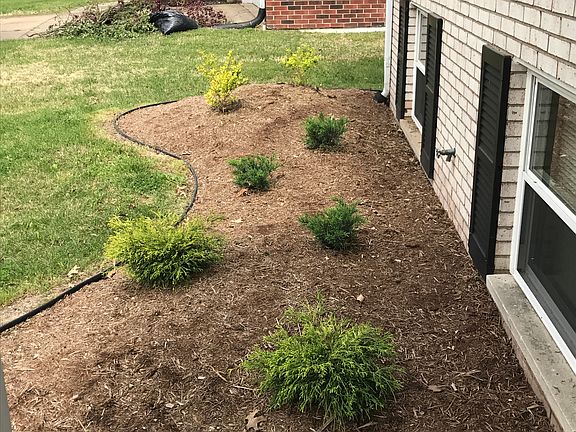 5th image of 3210 Newell Dr