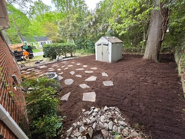 Backyard with storage shed