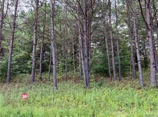 36 Crimson Ridge Cir, Brookwood, AL 35444