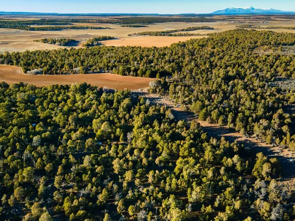 E Lockerby Rd, Monticello, UT 84535