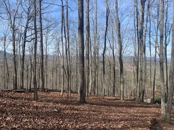 Lot7b Timber Bnd, Blairsville, GA 30512