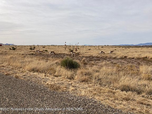 4th image of 109 Carbide Ln