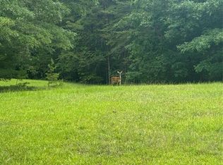 28 Fallen Tree Ln, Mill Spring, NC 28756