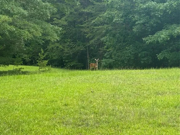 28 Fallen Tree Ln, Mill Spring, NC 28756