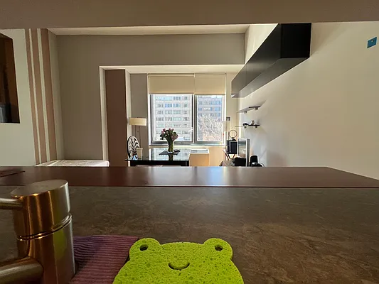 Rented by NY NY Condo, Inc | media 6