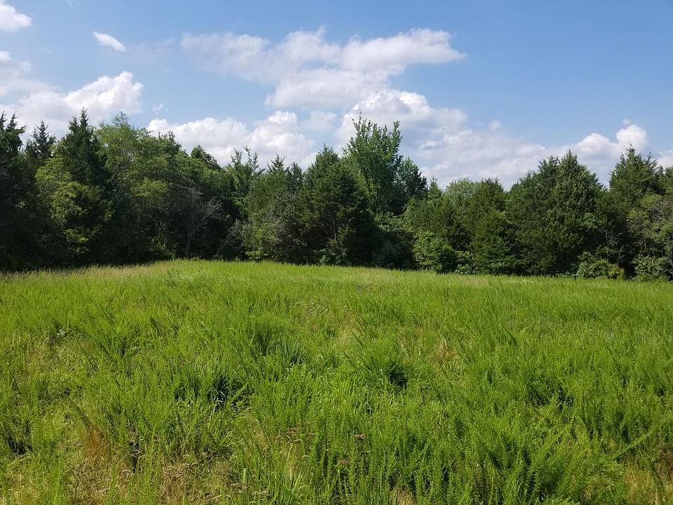 Southwest corner of clearing