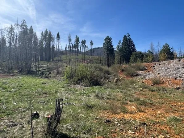 668 Crescent St, Greenville, CA 95947