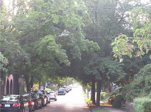 2nd image of 117 4th St