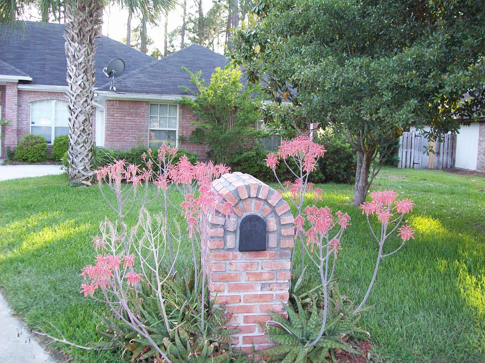 Part of Front Yard